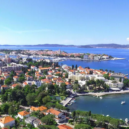 Niko * Zadar